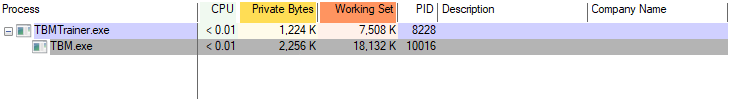 A Process Explorer tree showing TBMTrainer.exe, PID 8228, as the parent of TBM.exe, PID 10016.